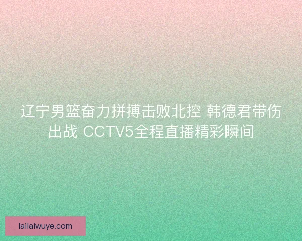 辽宁男篮奋力拼搏击败北控 韩德君带伤出战 CCTV5全程直播精彩瞬间